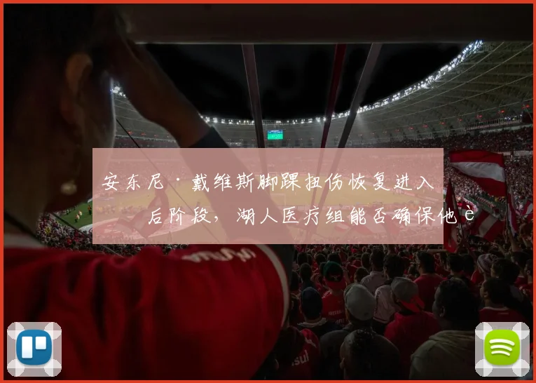 安东尼·戴维斯脚踝扭伤恢复进入最后阶段，湖人医疗组能否确保他赶上揭幕战？